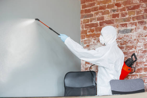 Best Dehumidification Services  in Texas City, TX