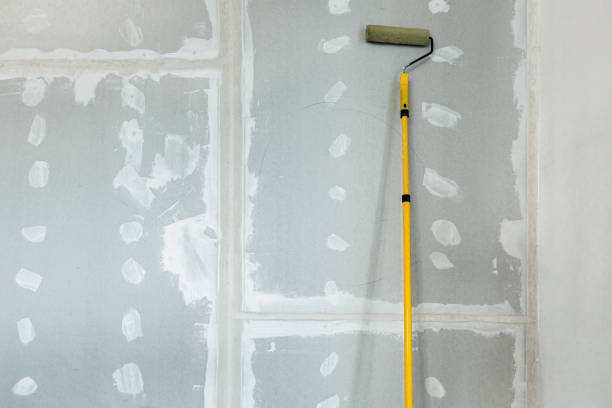 Texas City, TX Mold Removal Company
