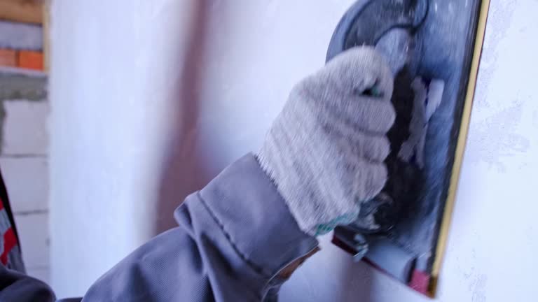 Best Mold Damage Restoration  in Texas City, TX