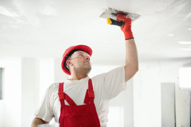 Best Comprehensive Air Testing for Mold Contaminants  in Texas City, TX