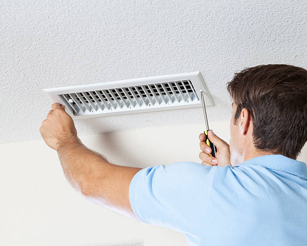 Best Mold Removal for HVAC Installations  in Texas City, TX