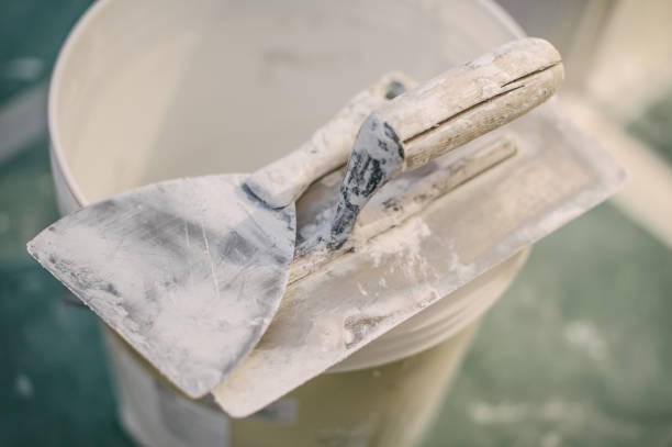 Best Crawl Space Mold Remediation  in Texas City, TX